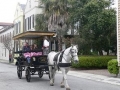 CHARLESTON001SM3