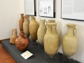 museo archeologico (6)