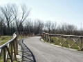 pista_ciclabile-1 (1)