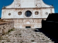sanpietro
