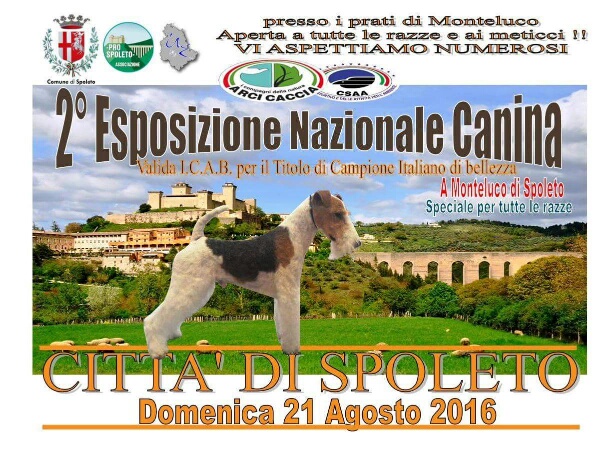 <!--:it-->2° Esposizione Nazionale Canina Città di Spoleto 2016<!--:--><!--:en-->2nd National Dog Exhibition "Città di Spoleto 2016"<!--:--> @ Monteluco | Monteluco | Umbria | Italia