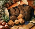 tartufo-1