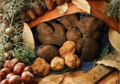 tartufo-1