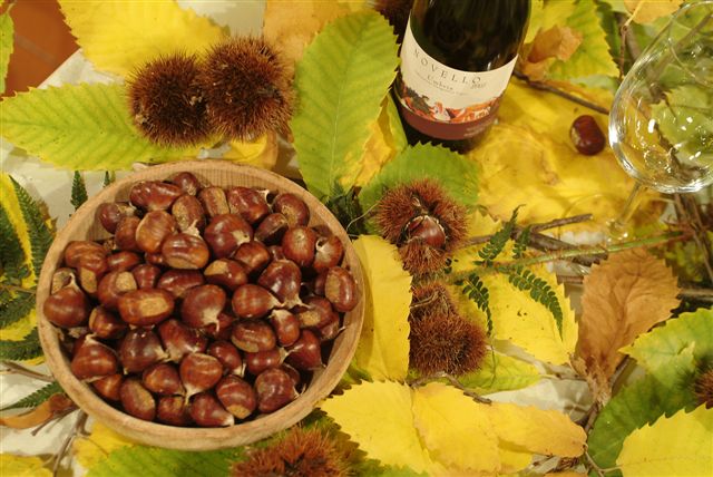 <!--:it-->Giornata delle Castagne e dei Funghi<!--:--><!--:en-->Chestnuts and Mushrooms Day<!--:--> @ Montebibico | Montebibico | Umbria | Italia