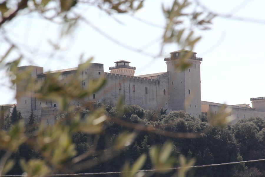 <!--:it-->Giornata Nazionale del Paesaggio 2025 | VISITA GUIDATA AI CAMMINAMENTI E ALLE TORRI DELLA ROCCA ALBORNOZ<!--:--> @ Rocca Albornoz