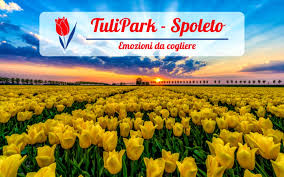 <!--:it-->TULIPARK<!--:--><!--:en-->TULIPARK<!--:--> @ Baiano di Spoleto