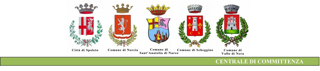 COMUNE DI SCHEGGINO